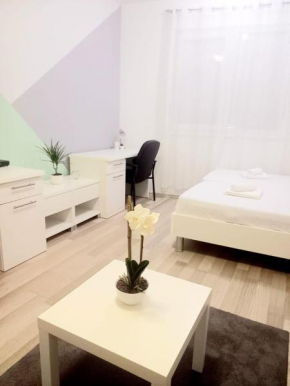 City Studio Mostar